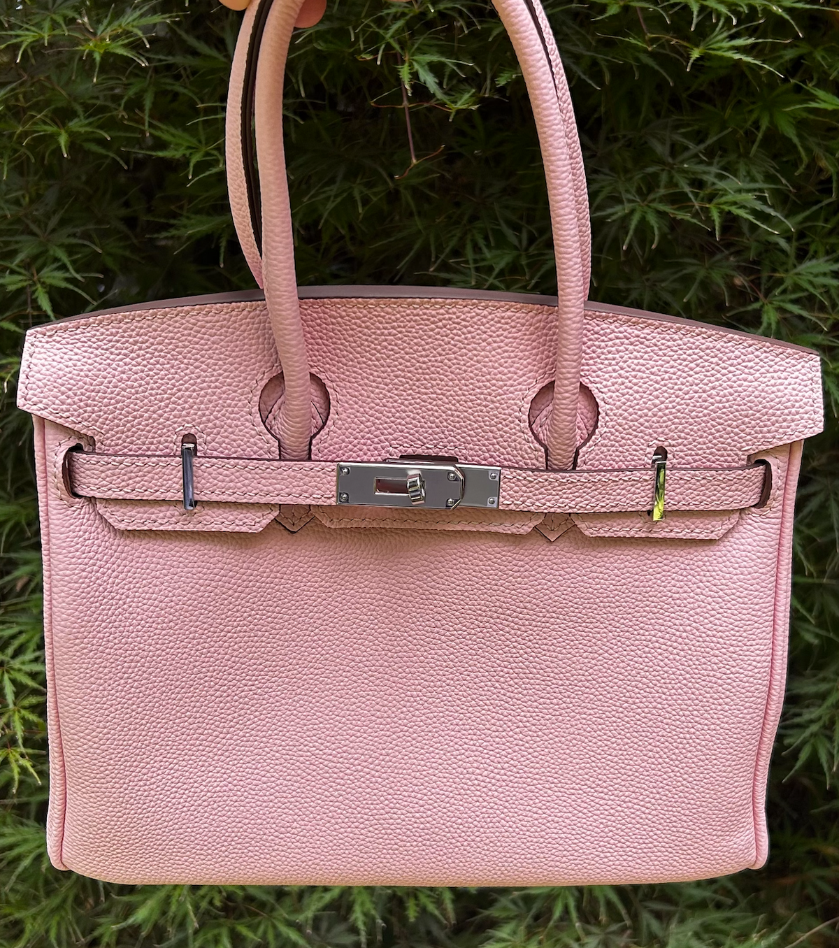 the first pink bag  looks great with green foliage 